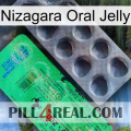 Nizagara Oral Jelly new04